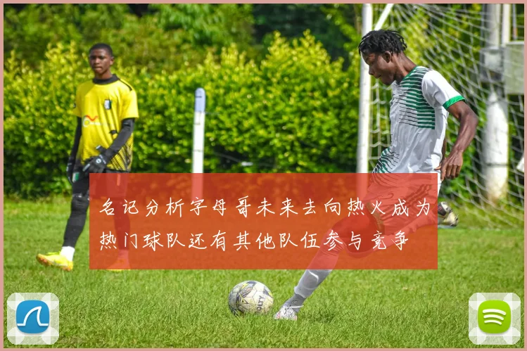 名记分析字母哥未来去向热火成为热门球队还有其他队伍参与竞争